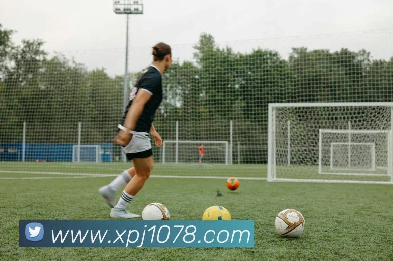 澳门新葡京入口服务体系